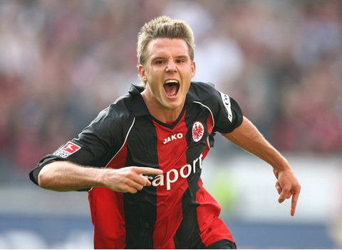 动明星们 动明星们