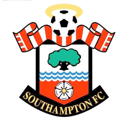 巴西柔术不 巴西柔术不